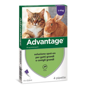 ADVANTAGE GATTI E CONIGLI 0.8 ML 4 PIPETTE