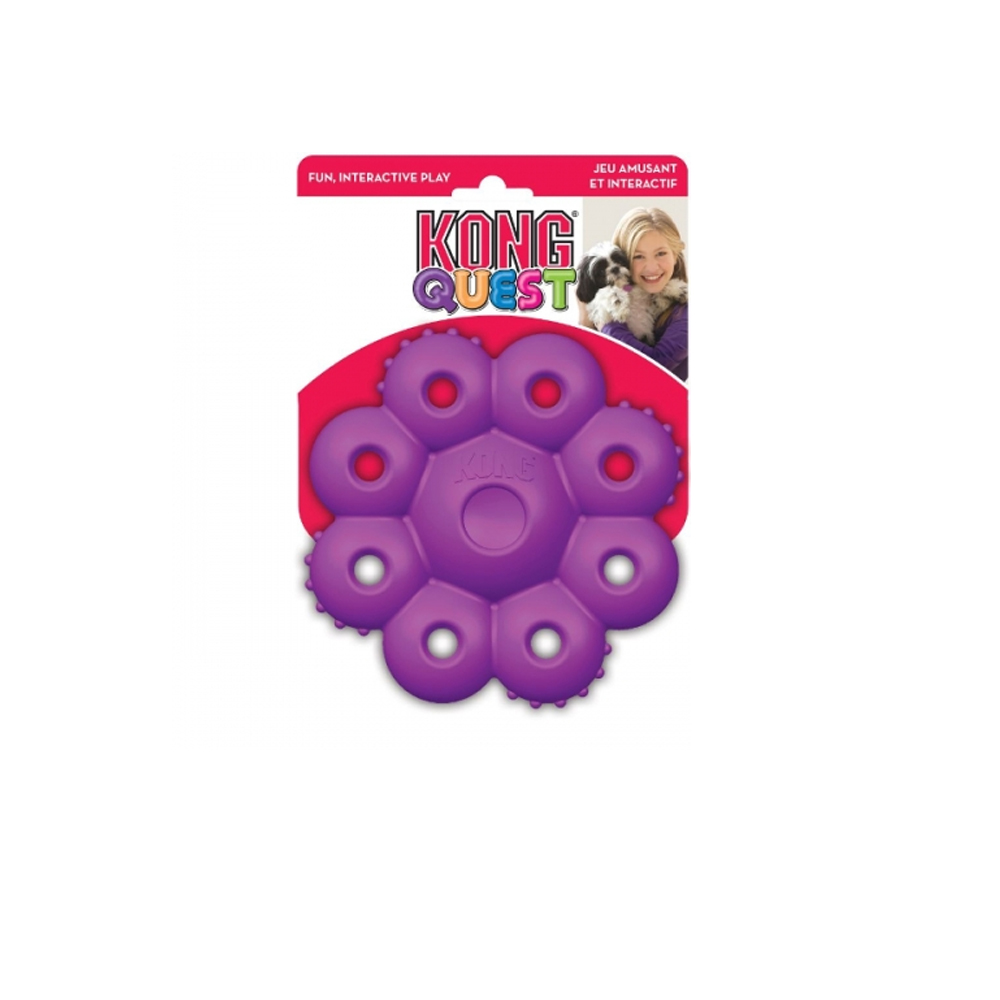 KONG QUEST PODS SMALL