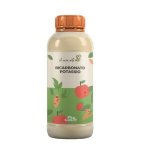 BICARBONATO DI POTASSIO 1 KG