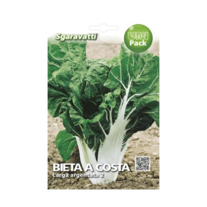 BIETA A COSTA LARGA ARGENTATA 2