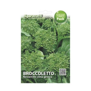 BROCCOLETTO NOVANTINO CIMA GROSSA 100 GR