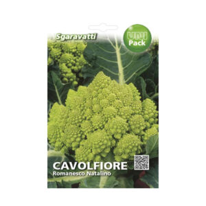 CAVOLFIORE ROMANESCO NATALINO