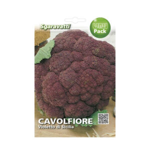 CAVOLFIORE VIOLETTO DI SICILIA