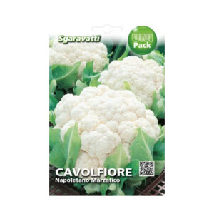 CAVOLFIORE NAPOLETANO MARZATICO