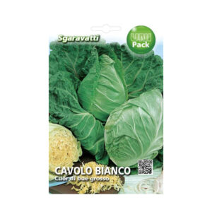 CAVOLO BIANCO CUOR DI BUE GROSSO