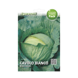 CAVOLO BIANCO BRUNSWICH