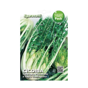 CICORIA CATALOGNA PUNTARELLE A FOGLIA FRASTAGLIATA