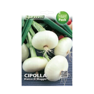 CIPOLLA BIANCA DI MAGGIO
