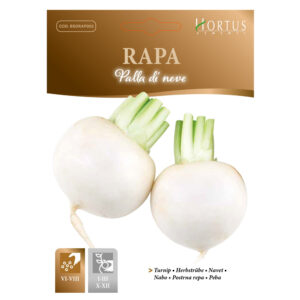 RAPA PALLA DI NEVE