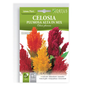 CELOSIA PLUMOSA ALTA MIX - 1 BUSTINA