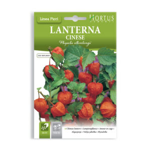 LANTERNA CINESE - 1 BUSTINA