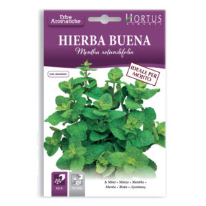HIERBA BUENA - 1 BUSTINA