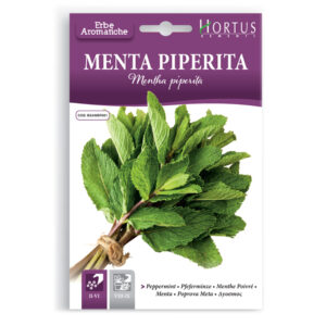 MENTA PIPERITA - BUSTINA