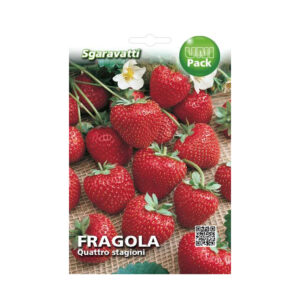FRAGOLA QUATTRO STAGIONI - UNIPACK