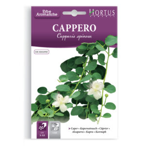 CAPPERO CAPPARIS SPINOSA - 1 BUSTINA