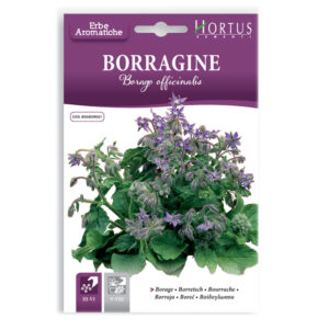 BORRAGINE BORAGO OFFICINALIS - BUSTINA