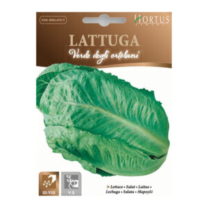LATTUGA VERDE DEGLI ORTOLANI - 1 BUSTINA