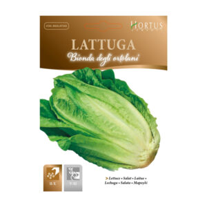 LATTUGA BIONDA DEGLI ORTOLANI - 1 BUSTINA