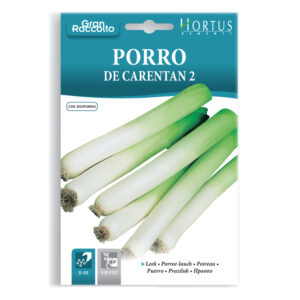 PORRO DE CARENTAN 2 - BUSTINA