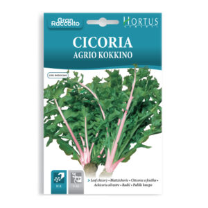 CICORIA AGRIO KOKKINO - 1 BUSTINA