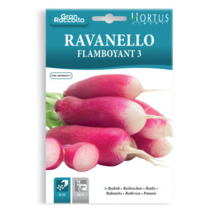 RAVANELLO FLAMBOYANT 3 - 1 BUSTINA