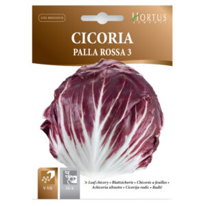 CICORIA PALLA ROSSA 3 - 1 BUSTINA