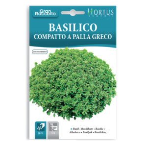 BASILICO COMPATTO A PALLA GRECO - 1 BUSTINA