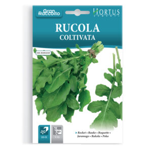 RUCOLA COLTIVATA - 1 BUSTINA