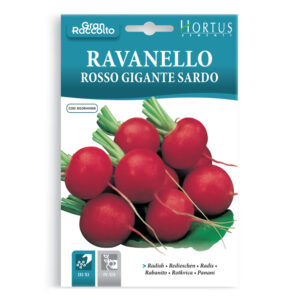 RAVANELLO ROSSO GIGANTE SARDO - 1 BUSTINA