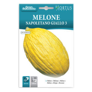 MELONE NAPOLETANO GIALLO 3 - 1 BUSTINA