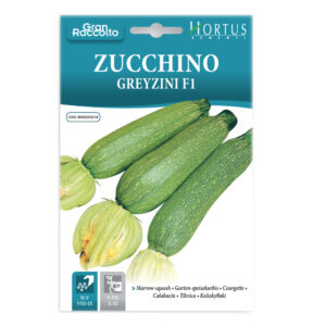 ZUCCHINO GREYZINI F1 - 1 BUSTINA