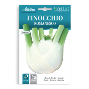 FINOCCHIO ROMANESCO - 1 BUSTINA