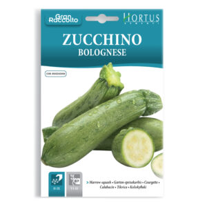 ZUCCHINO BOLOGNESE - 1 BUSTINA