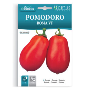 POMODORO ROMA VF - 1 BUSTINA