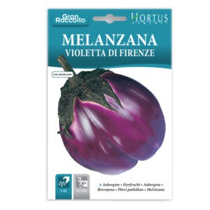 MELANZANA VIOLETTA DI FIRENZE - 1 BUSTINA