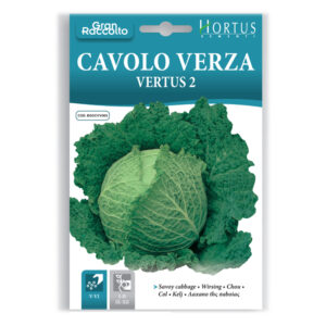 CAVOLO VERZA VERTUS 2 - 1 BUSTINA