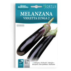MELANZANA VIOLETTA LUNGA 2 - 1 BUSTINA