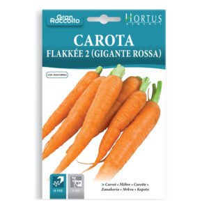 CAROTA FLAKÉE 2 GIGANTE ROSSA - 1 BUSTINA