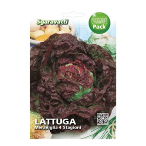 LATTUGA MERAVIGLIA 4 STAGIONI - 1 BUSTINA