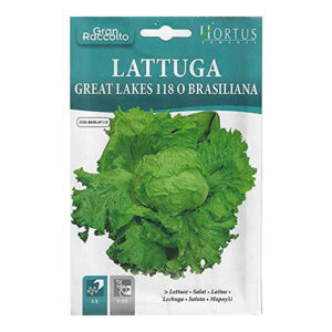 LATTUGA BRASILIANA - 1 BUSTINA