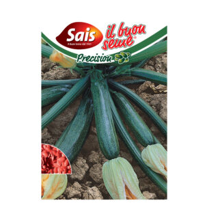 ZUCCHINO PRESIDENT F1 40 SEMI