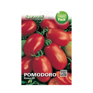 POMODORO ROMA VF