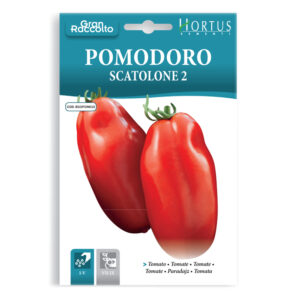 POMODORO SCATOLONE 2 - 1 BUSTINA