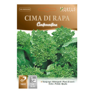 CIMA DI RAPA 120° TESTA GROSSA 500 GR