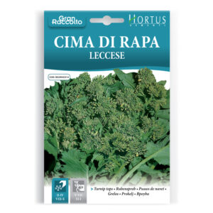 CIMA DI RAPA LECCESE - 1 BUSTINA