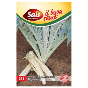 CARDO BIANCO GIGANTE - 1 BUSTINA