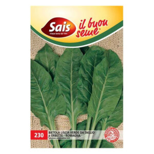 BIETOLA LISCIA VERDE - 1 BUSTINA