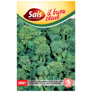 BROCCOLETTI DI RAPA 60° RICCIA 500 GR