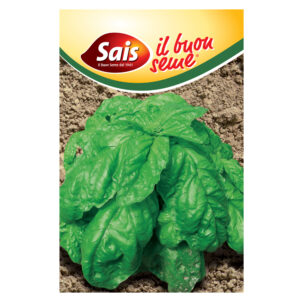 BASILICO A FOGLIA DI LATTUGA TOSCANO - 1 BUSTINA