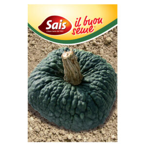ZUCCA MARINA DI CHIOGGIA - 1 BUSTINA